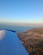 Ce bel oiseau n&rsquo;attend que vous