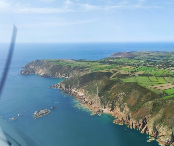 Ce bel oiseau n&rsquo;attend que vous